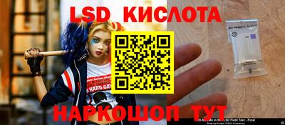 индика Гай