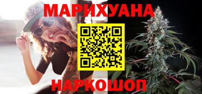 индика Гай