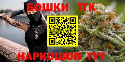 индика Гай