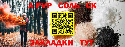 индика Гай