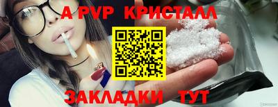 индика Гай