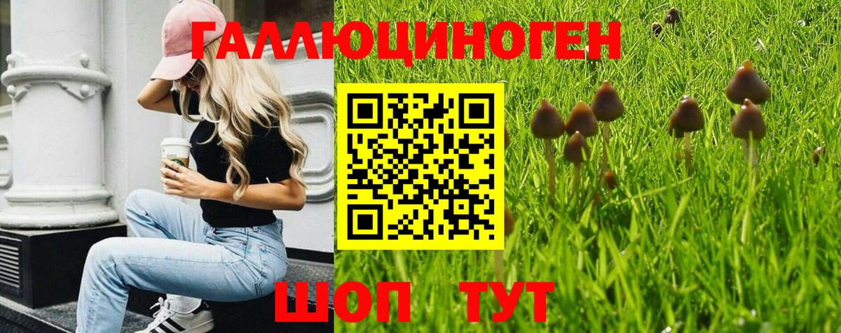 Отрадный  Псилоцибиновые грибы Magic Shrooms  Вход с VPN  купить закладку  Псилоцибиновые грибы Psilocybe 