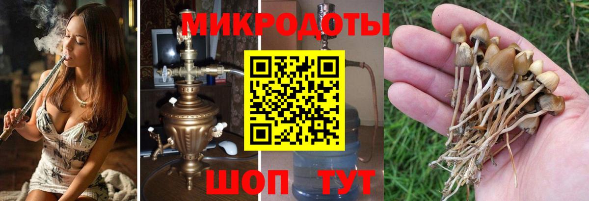 Галлюциногенные грибы Cubensis Отрадный