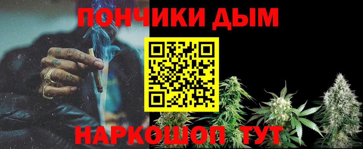 Канабис план Отрадный